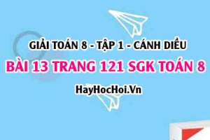 Giải bài 13 trang 121 Toán 8 Tập 1 SGK Cánh Diều